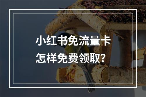 小红书免流量卡怎样免费领取？