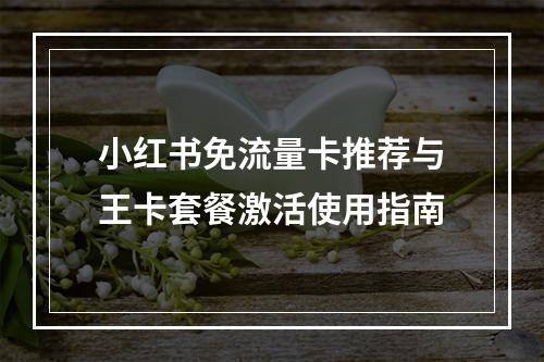 小红书免流量卡推荐与王卡套餐激活使用指南