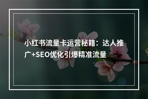 小红书流量卡运营秘籍：达人推广+SEO优化引爆精准流量