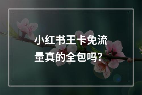 小红书王卡免流量真的全包吗？