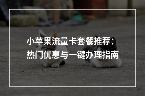 小苹果流量卡套餐推荐：热门优惠与一键办理指南