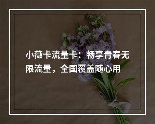 小薇卡流量卡：畅享青春无限流量，全国覆盖随心用