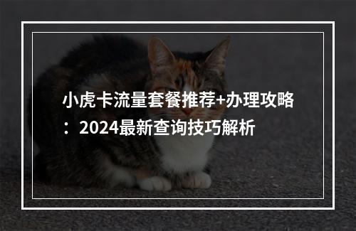 小虎卡流量套餐推荐+办理攻略：2024最新查询技巧解析