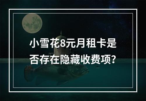 小雪花8元月租卡是否存在隐藏收费项？