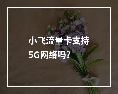 小飞流量卡支持5G网络吗？
