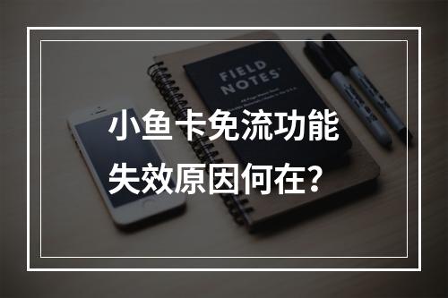 小鱼卡免流功能失效原因何在？