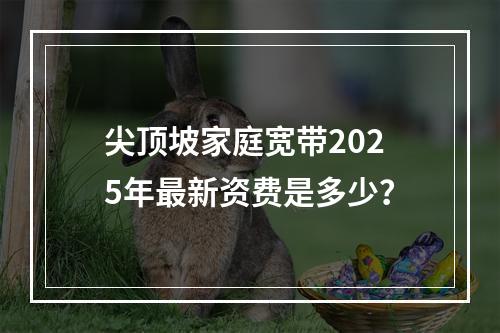 尖顶坡家庭宽带2025年最新资费是多少？