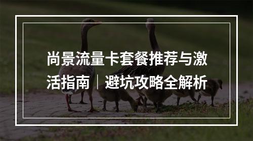 尚景流量卡套餐推荐与激活指南｜避坑攻略全解析