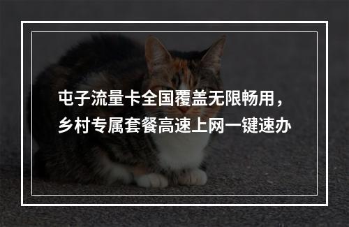 屯子流量卡全国覆盖无限畅用，乡村专属套餐高速上网一键速办