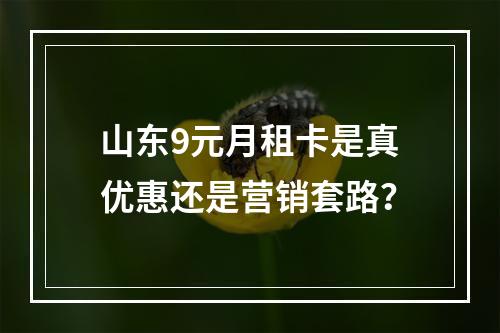 山东9元月租卡是真优惠还是营销套路？