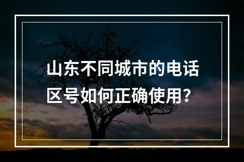 山东不同城市的电话区号如何正确使用？