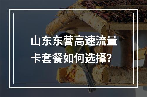 山东东营高速流量卡套餐如何选择？