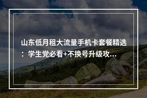 山东低月租大流量手机卡套餐精选：学生党必看+不换号升级攻略