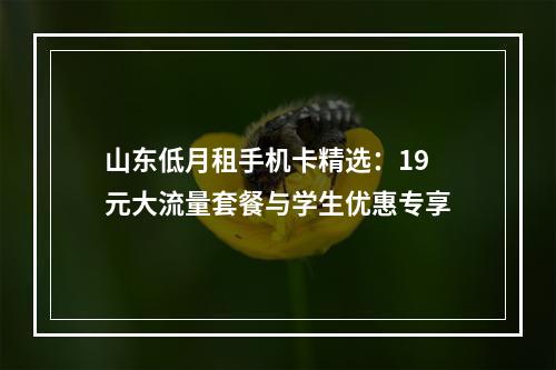 山东低月租手机卡精选：19元大流量套餐与学生优惠专享