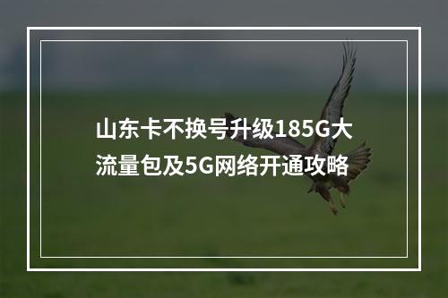 山东卡不换号升级185G大流量包及5G网络开通攻略