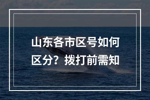 山东各市区号如何区分？拨打前需知