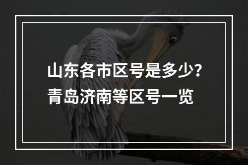 山东各市区号是多少？青岛济南等区号一览