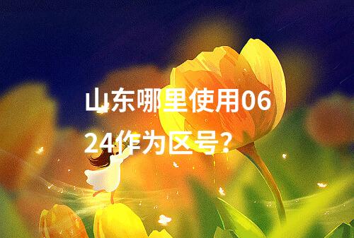 山东哪里使用0624作为区号？