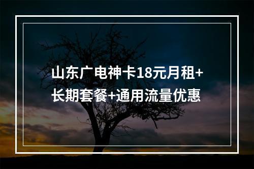山东广电神卡18元月租+长期套餐+通用流量优惠