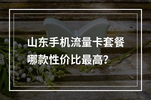 山东手机流量卡套餐哪款性价比最高？