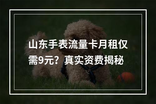 山东手表流量卡月租仅需9元？真实资费揭秘