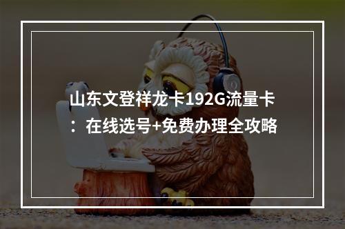 山东文登祥龙卡192G流量卡：在线选号+免费办理全攻略