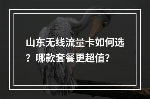 山东无线流量卡如何选？哪款套餐更超值？