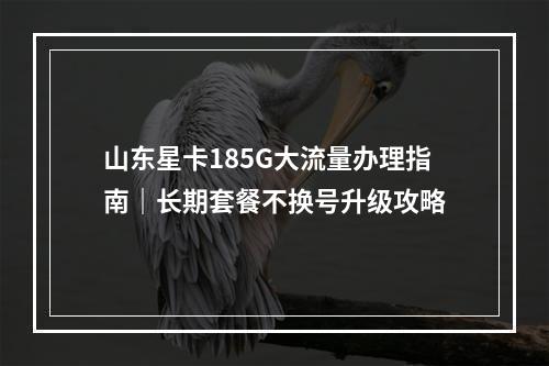 山东星卡185G大流量办理指南｜长期套餐不换号升级攻略