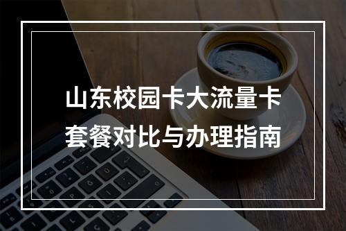 山东校园卡大流量卡套餐对比与办理指南