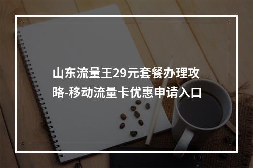 山东流量王29元套餐办理攻略-移动流量卡优惠申请入口