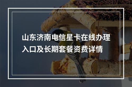 山东济南电信星卡在线办理入口及长期套餐资费详情