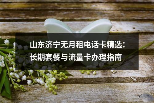 山东济宁无月租电话卡精选：长期套餐与流量卡办理指南