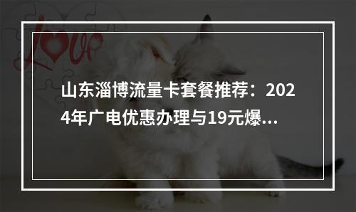 山东淄博流量卡套餐推荐：2024年广电优惠办理与19元爆款攻略