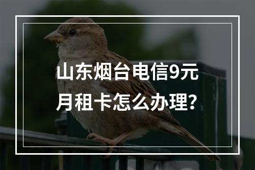 山东烟台电信9元月租卡怎么办理？
