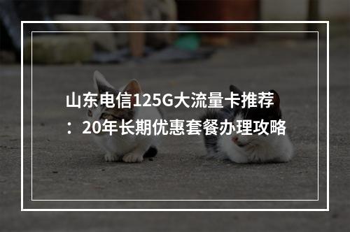 山东电信125G大流量卡推荐：20年长期优惠套餐办理攻略
