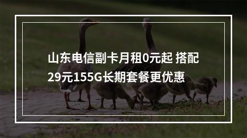 山东电信副卡月租0元起 搭配29元155G长期套餐更优惠