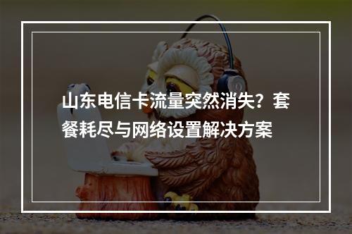 山东电信卡流量突然消失？套餐耗尽与网络设置解决方案