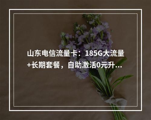 山东电信流量卡：185G大流量+长期套餐，自助激活0元升级