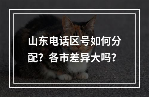 山东电话区号如何分配？各市差异大吗？