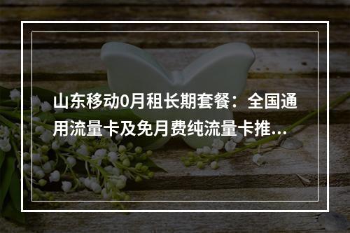 山东移动0月租长期套餐：全国通用流量卡及免月费纯流量卡推荐
