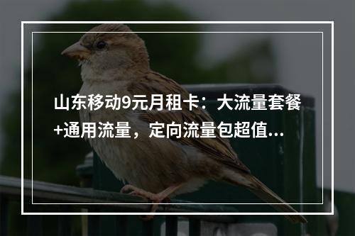 山东移动9元月租卡：大流量套餐+通用流量，定向流量包超值优惠