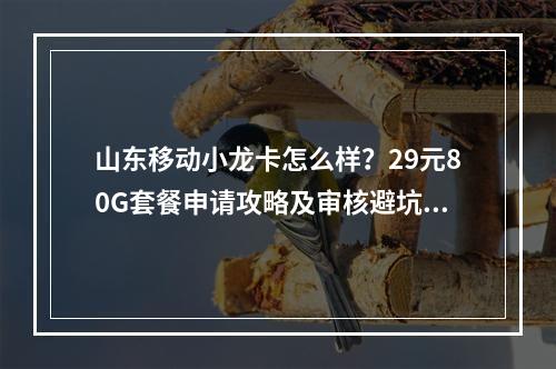 山东移动小龙卡怎么样？29元80G套餐申请攻略及审核避坑指南