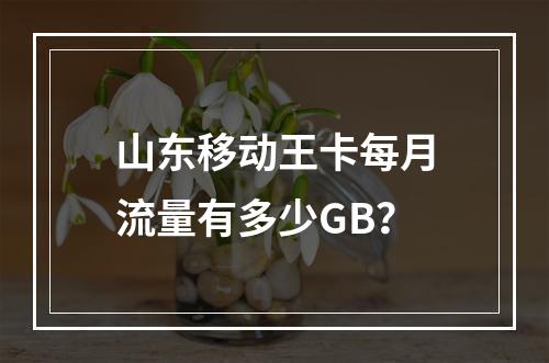 山东移动王卡每月流量有多少GB？