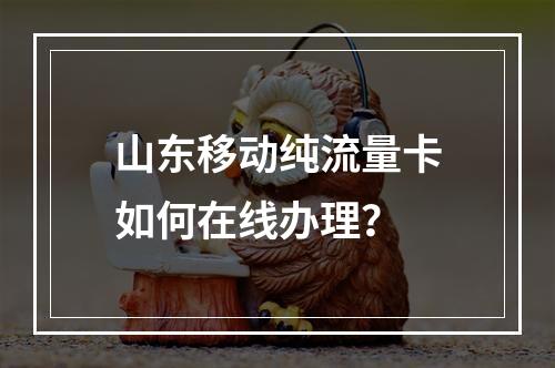 山东移动纯流量卡如何在线办理？