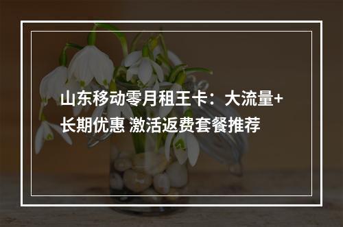 山东移动零月租王卡：大流量+长期优惠 激活返费套餐推荐