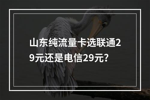 山东纯流量卡选联通29元还是电信29元？