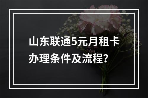 山东联通5元月租卡办理条件及流程？