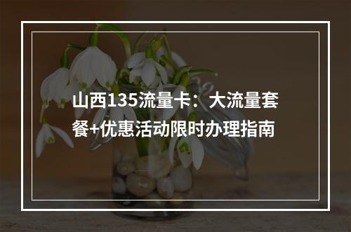 山西135流量卡：大流量套餐+优惠活动限时办理指南