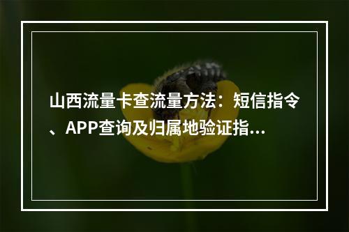 山西流量卡查流量方法：短信指令、APP查询及归属地验证指南