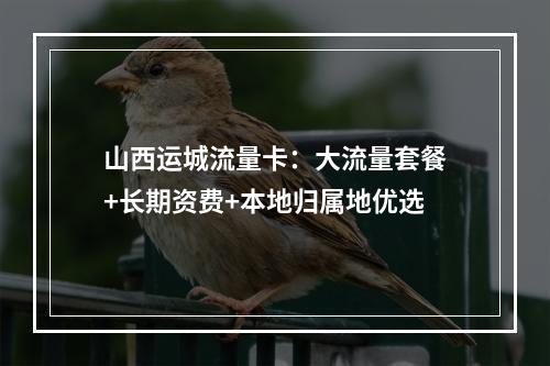 山西运城流量卡：大流量套餐+长期资费+本地归属地优选